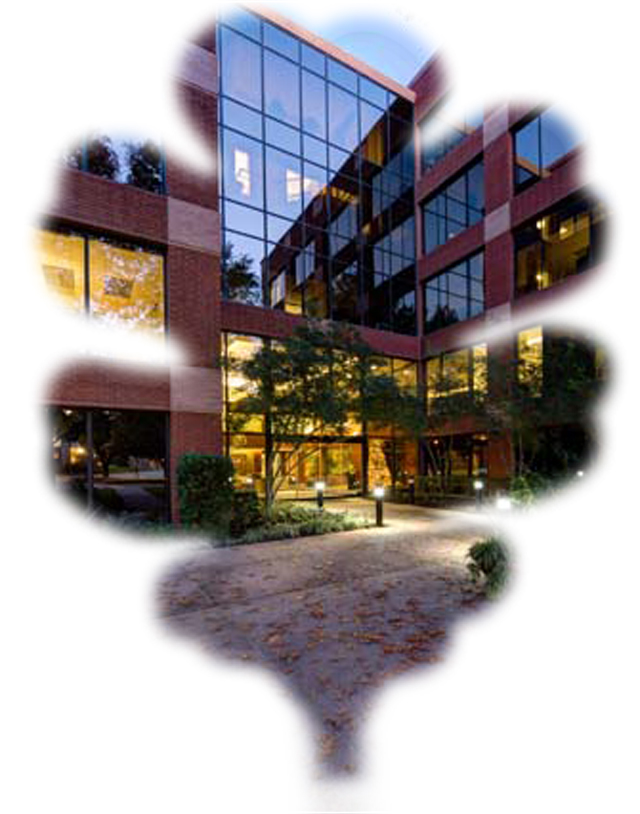 Barton Oaks Plaza TIG Real Estate Austin Texas Class A Office